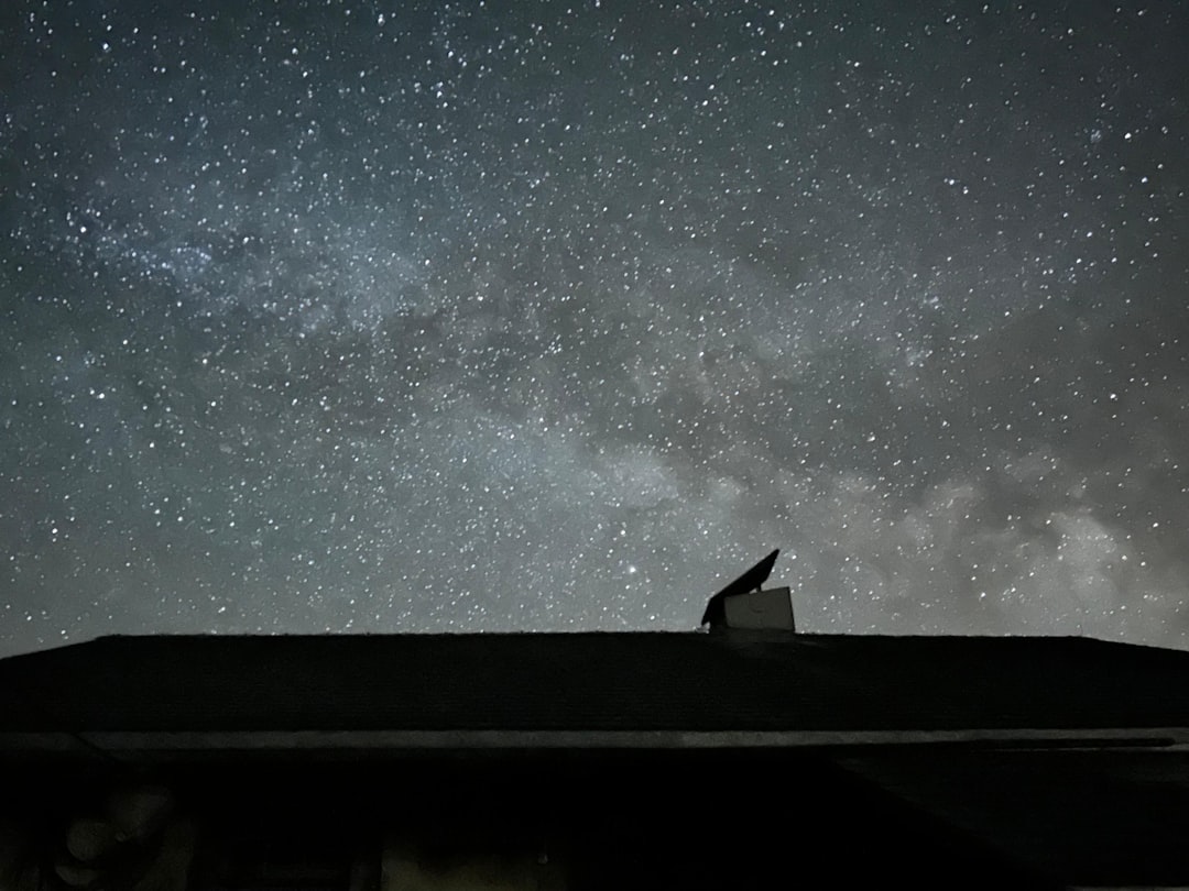 L’Énigme du Chat dans les Rêves : Un Voyage au Cœur de l’Inconscient