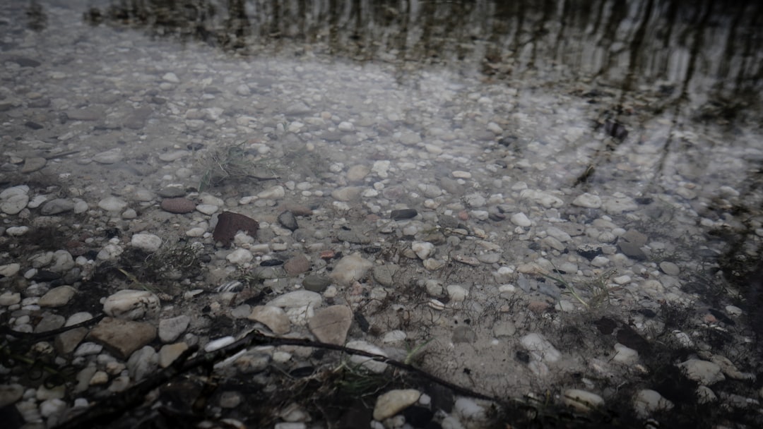 La Grêle Onirique : Éclats d’Ombre et Cris du Désir