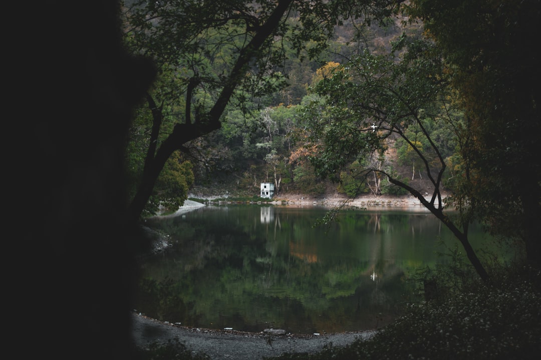 Calm lake surrounded by lush green trees and foliage.
