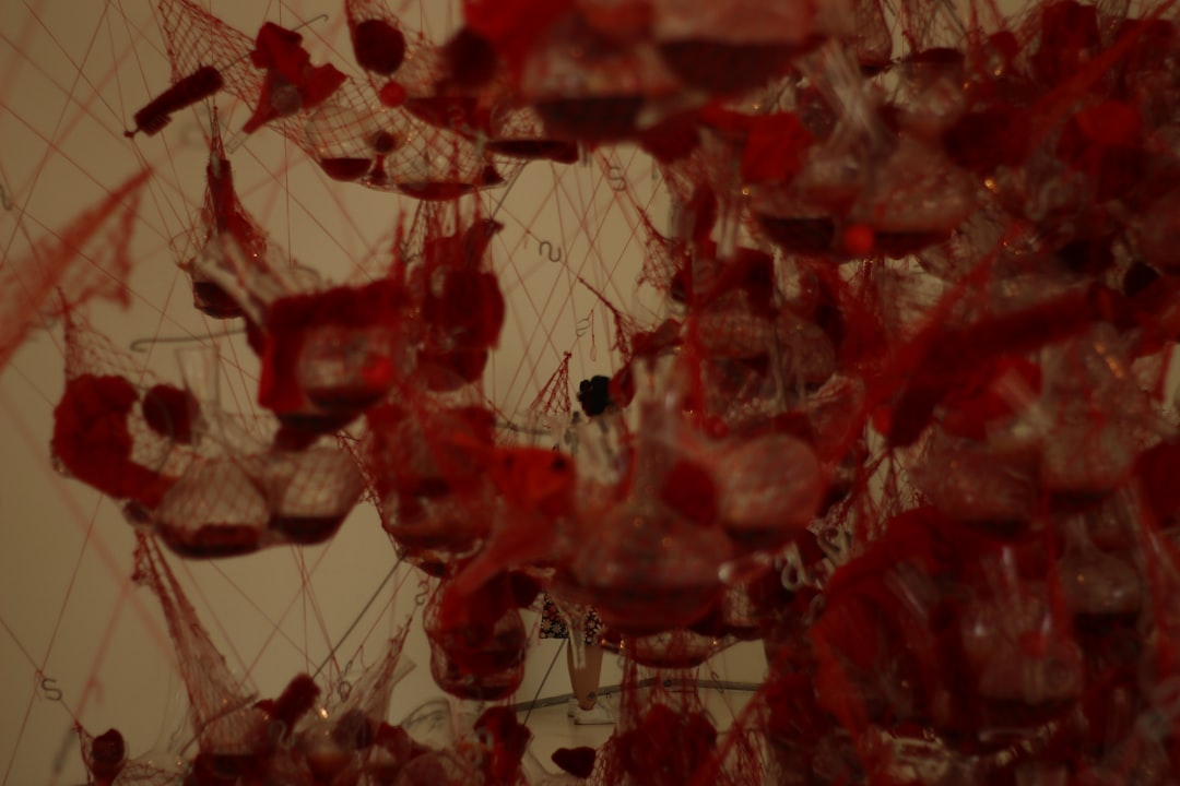 a group of red flowers