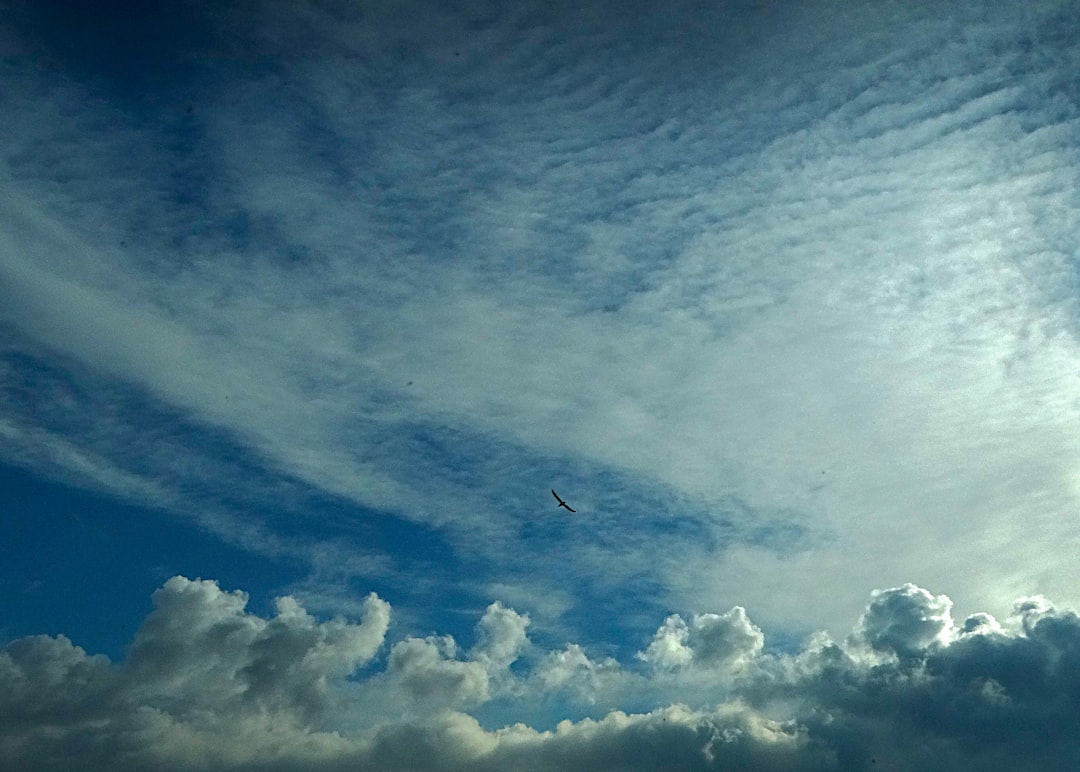 Wispy clouds against a bright blue sky