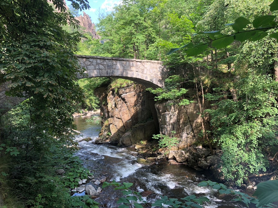 L’Interprétation Psychanalytique du Pont dans le Rêve : Une Traversée de l’Inconscient