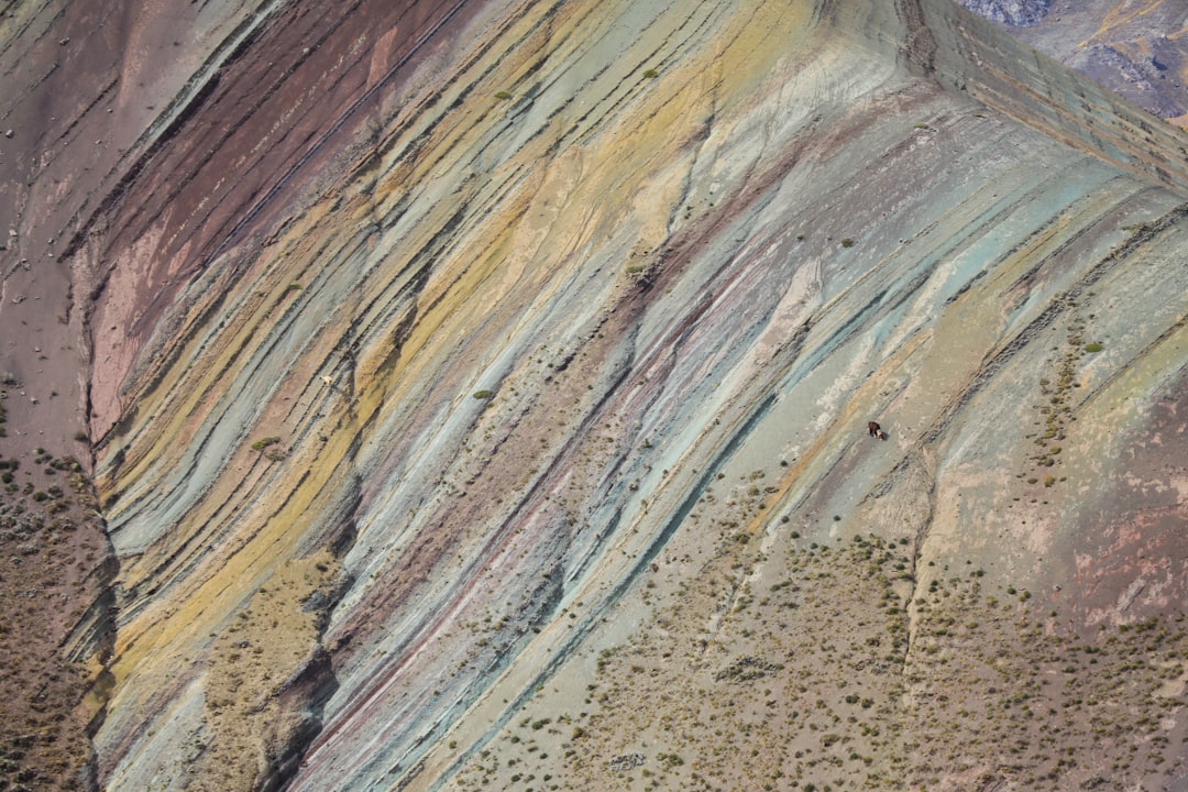 L’Interprétation du Lama dans les Rêves : Un Voyage au Cœur de l’Inconscient